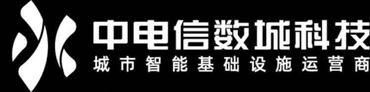 中電信數(shù)智科技有限公司